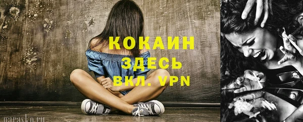 spice Арсеньев