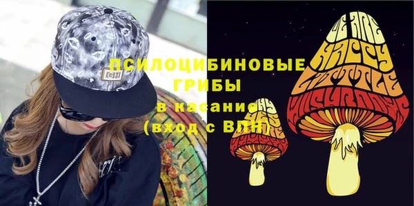 амф Рославль