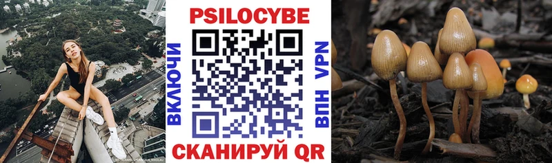 Псилоцибиновые грибы GOLDEN TEACHER  Полевской 